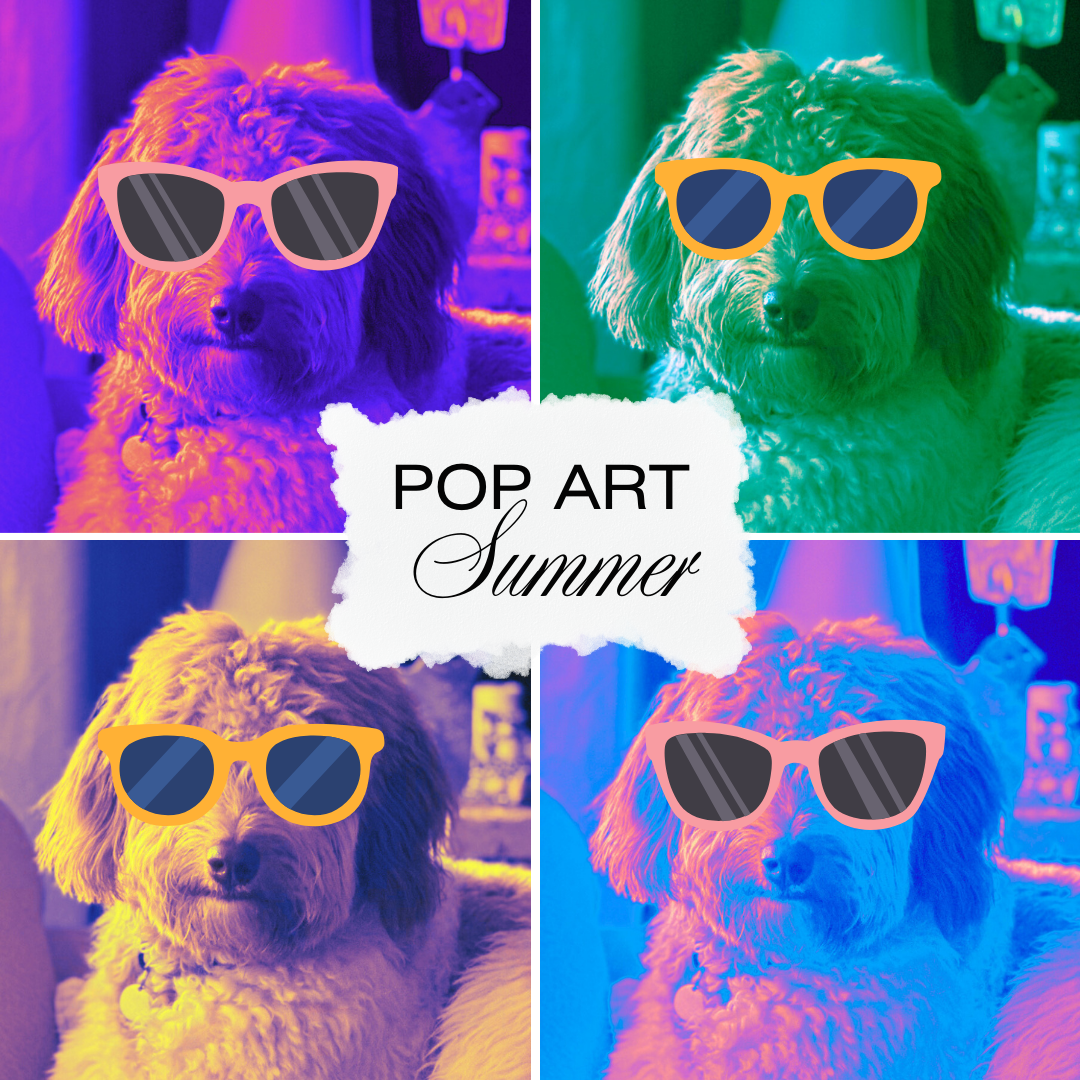 MailMax Online - Staff Photo - Create Article